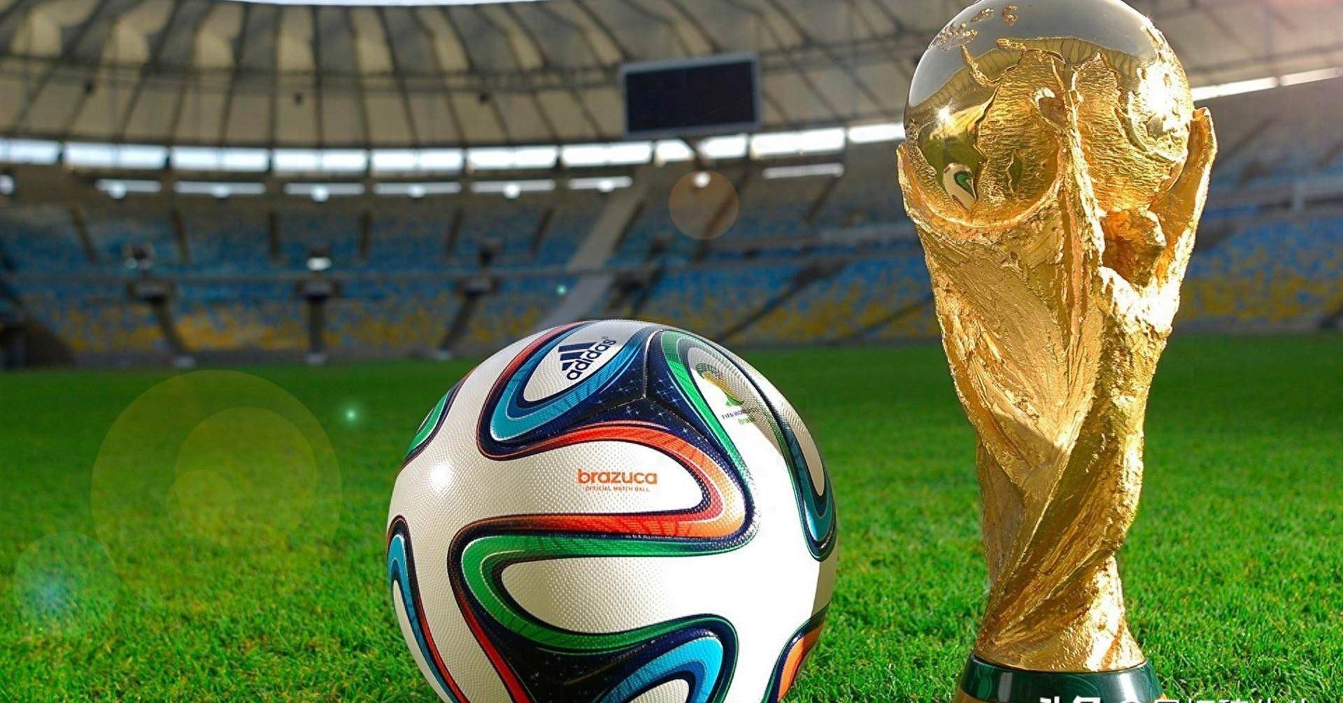 和创新纪录 和创新纪录