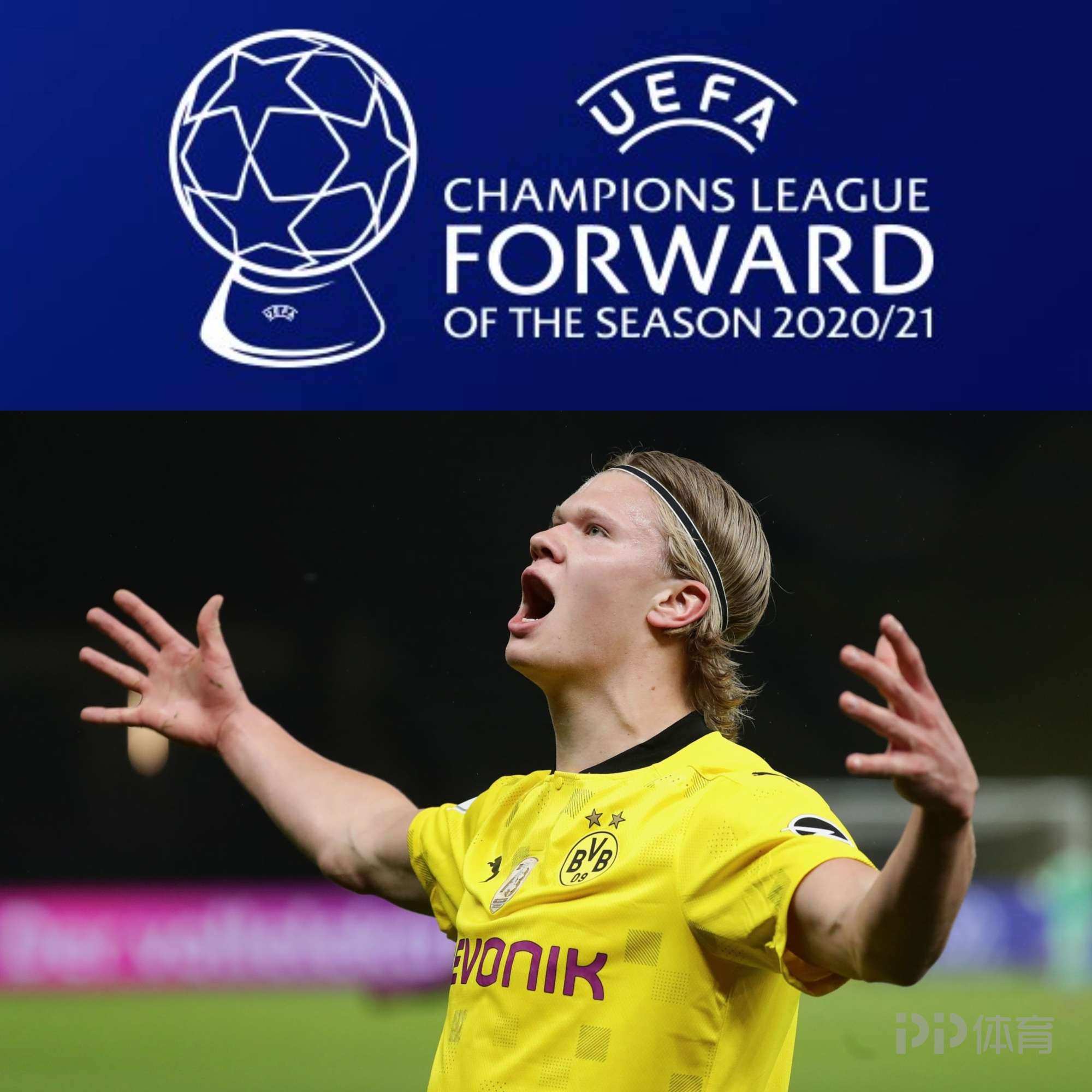 下最像样的 下最像样的