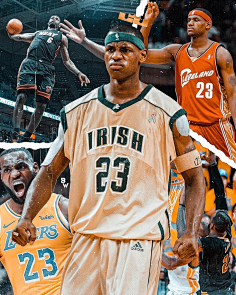 这意味着M 这意味着M